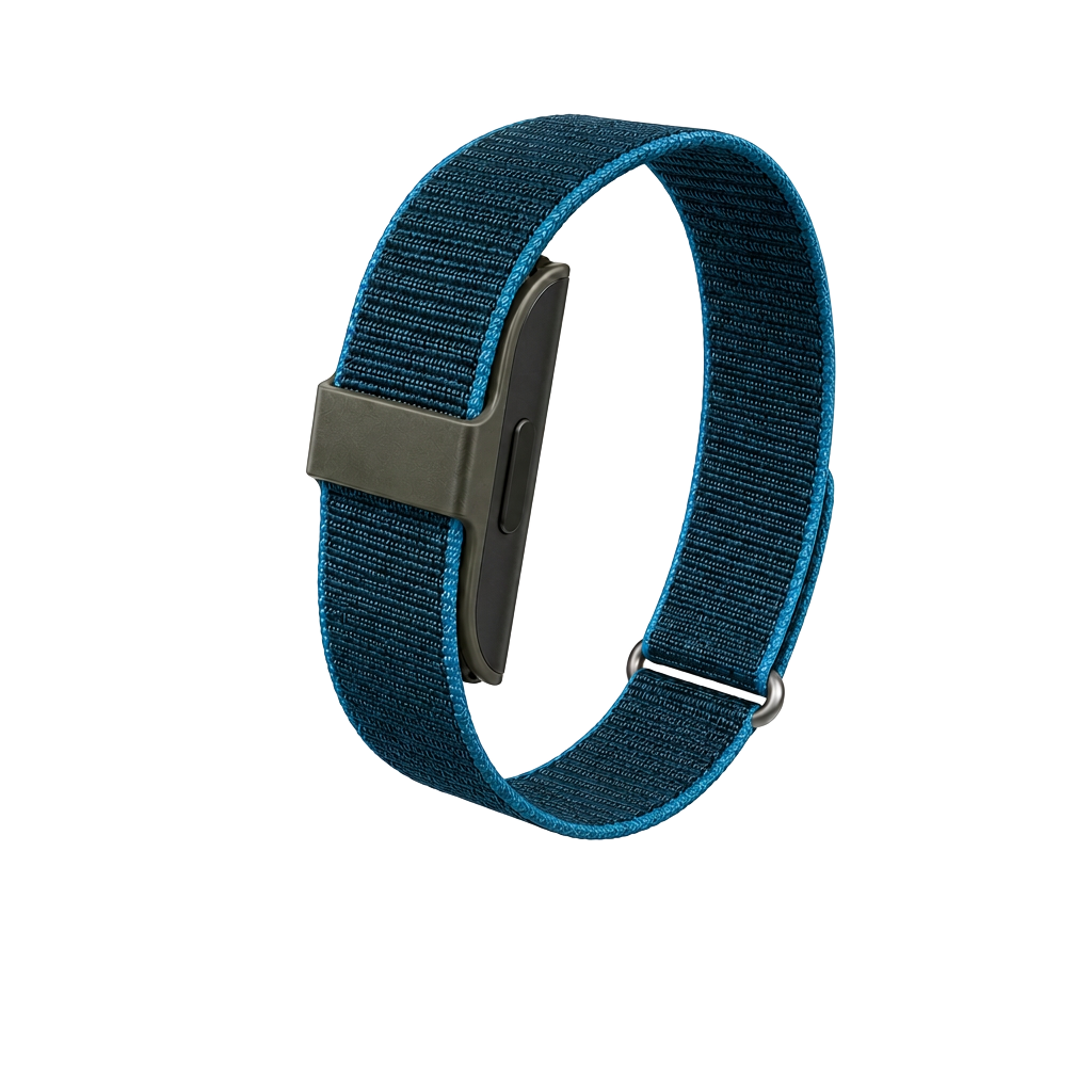 Rhythm Band in Teal