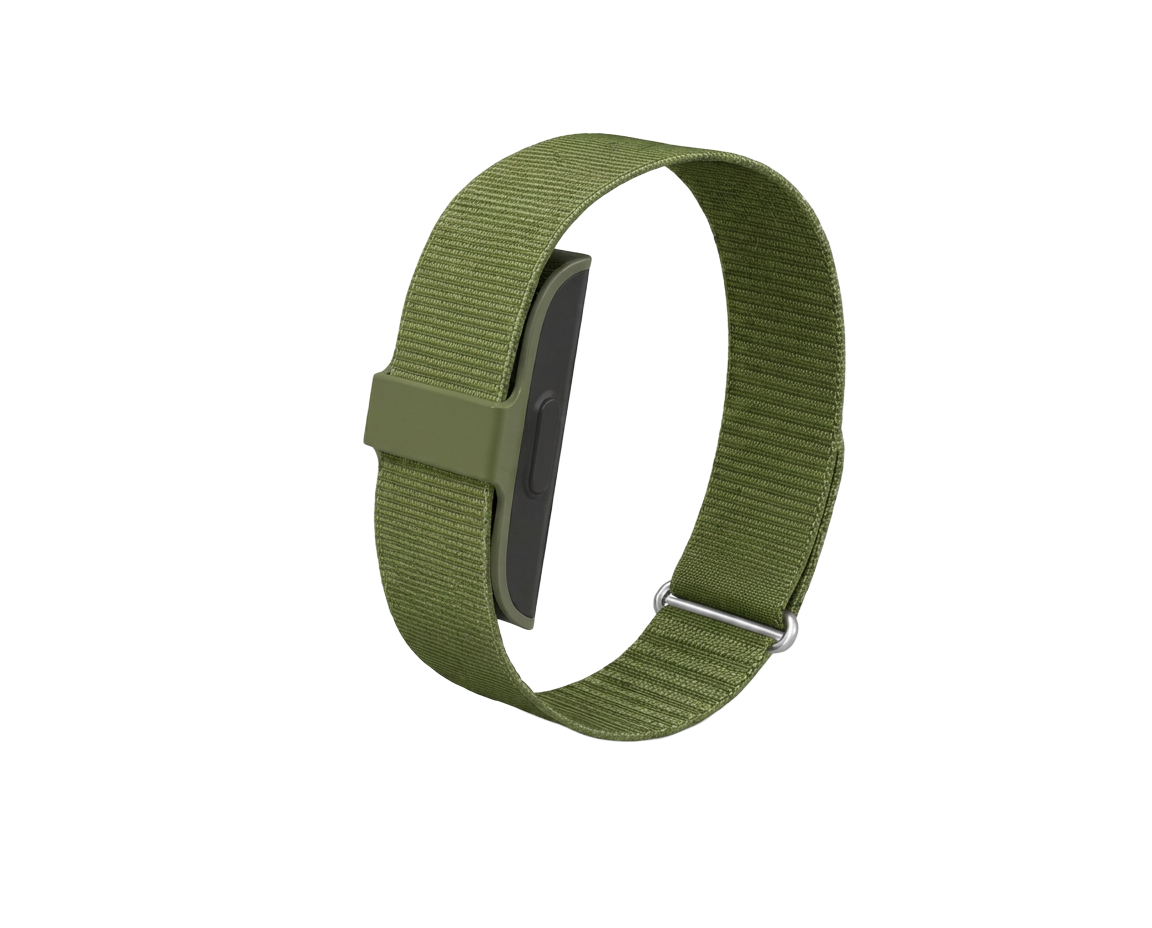 Rhythm Band in Olive