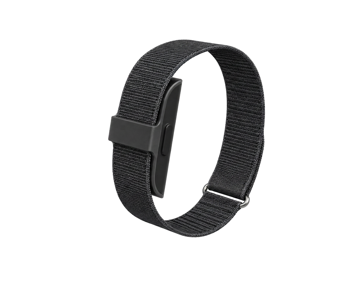 Rhythm Band in Graphite